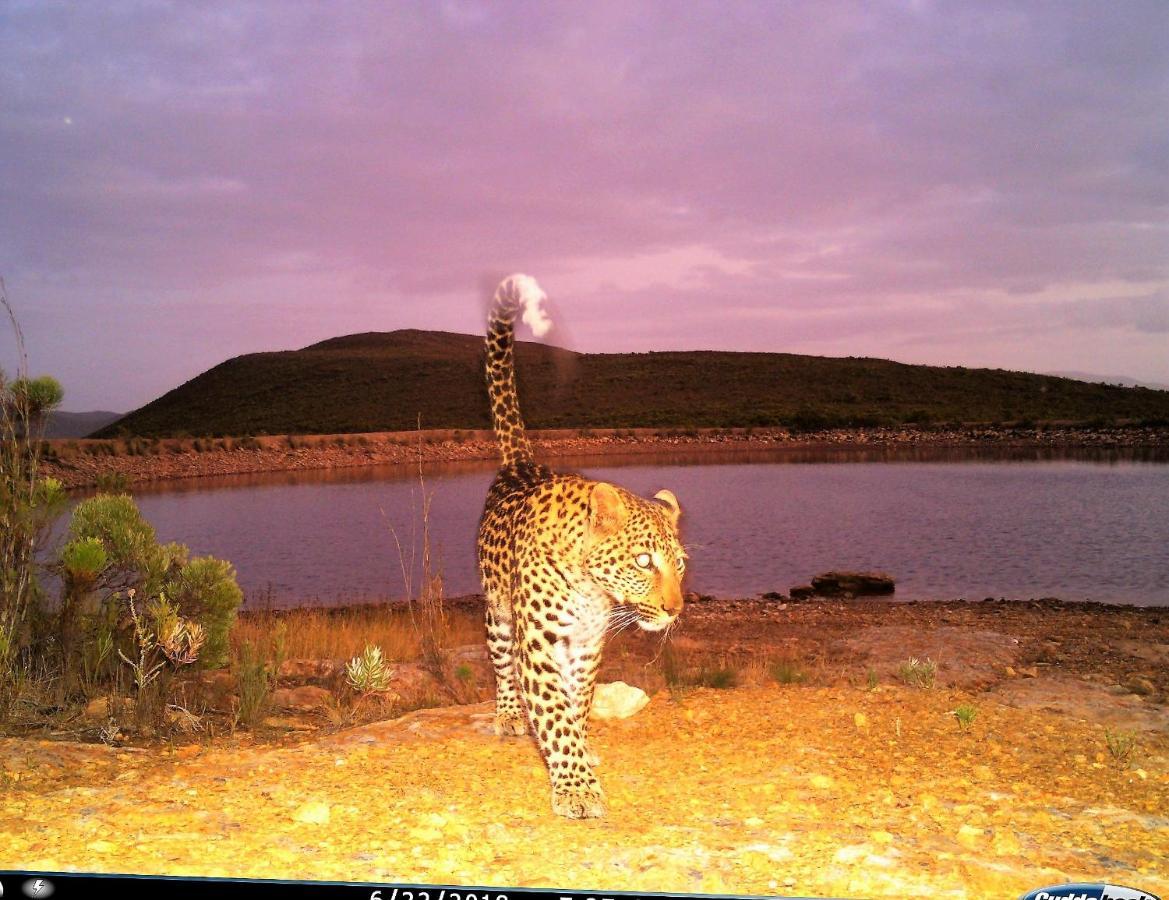 Farm 215 Private Nature Reserve Uilenkraal ภายนอก รูปภาพ