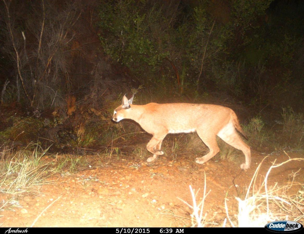 Farm 215 Private Nature Reserve Uilenkraal ภายนอก รูปภาพ